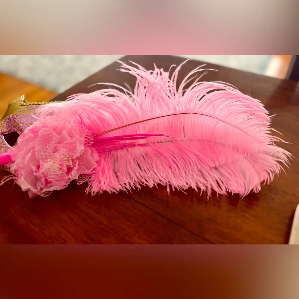 Feathered Can Can/Masquerade Mask